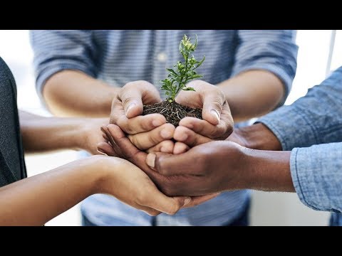 Free Consultation for Needy